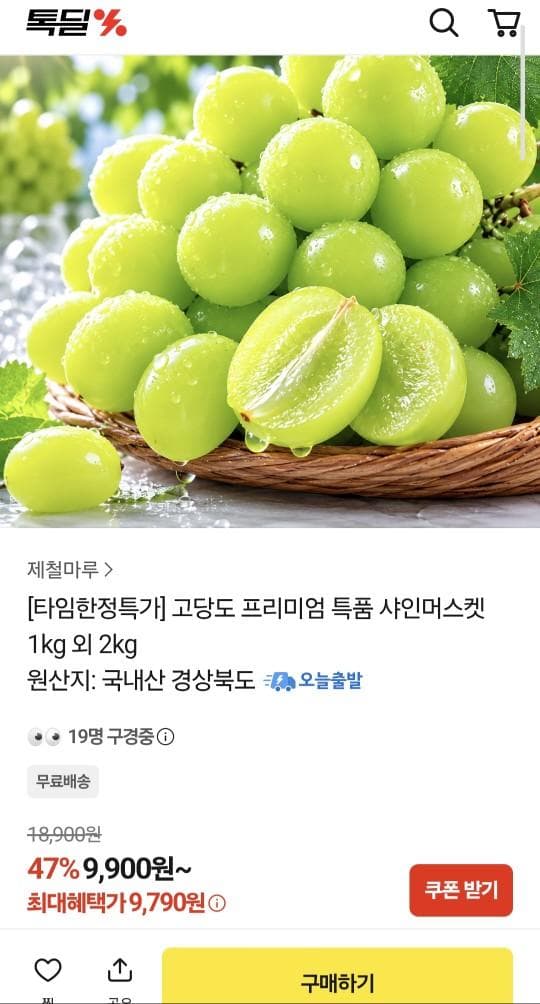 샤인머스켓 특품 1kg 2수