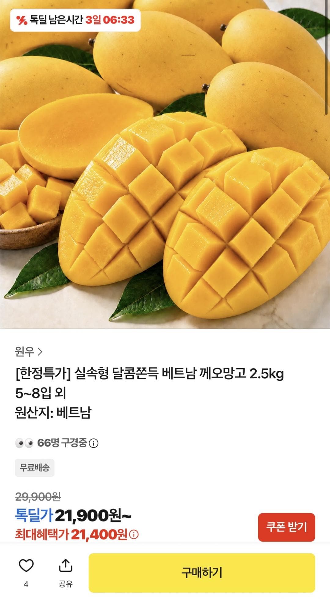 베트남 께오망고 2.5kg