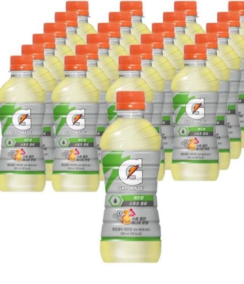 게토레이 레몬 300ml 24개