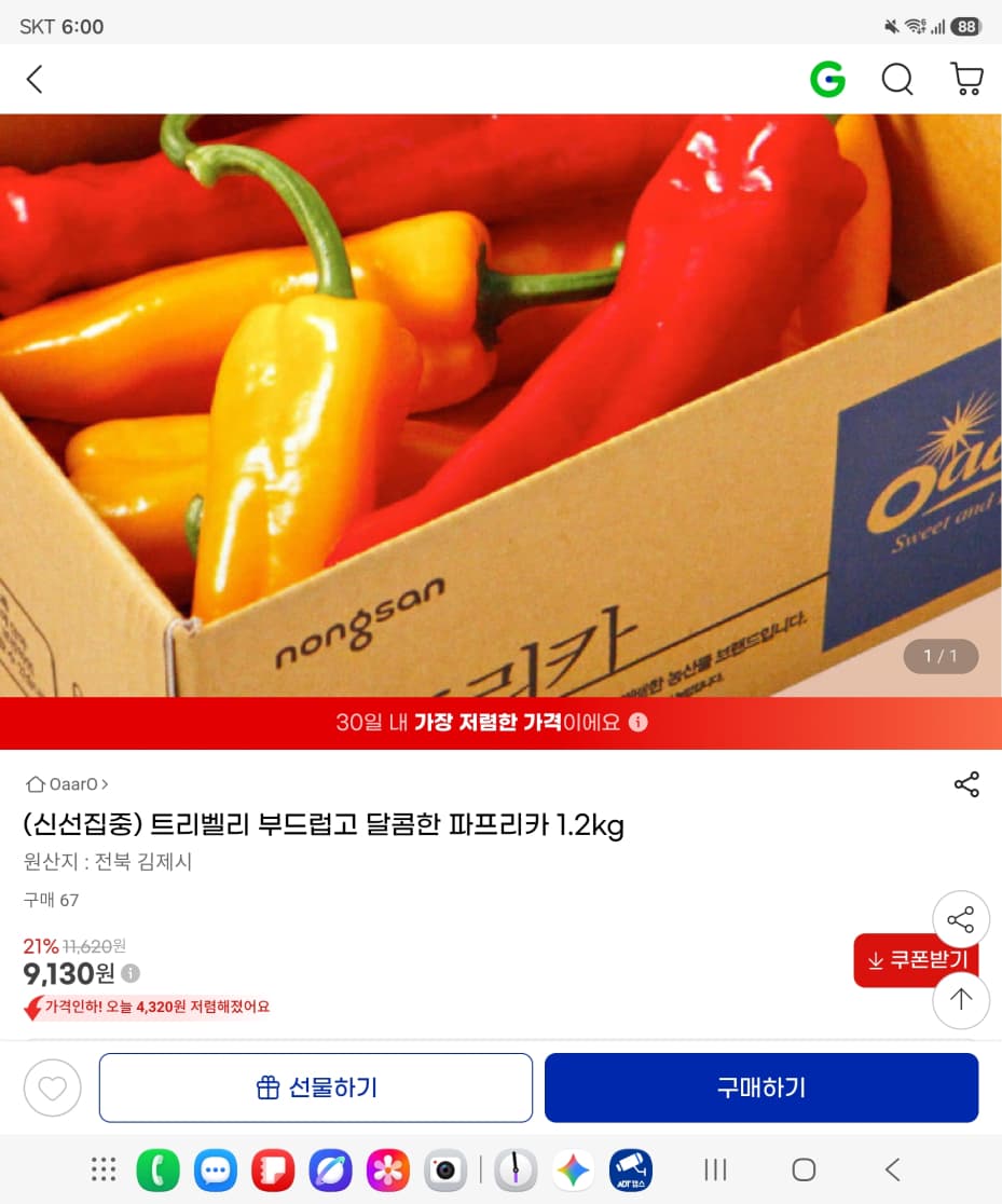 트리벨리 파프리카 1.2kg