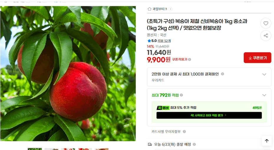 신비복숭아 1kg 중소과