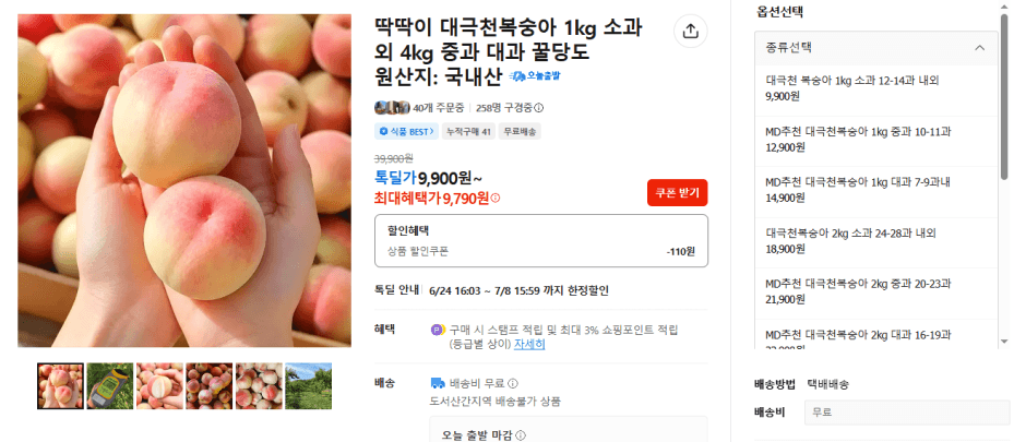 대극천 복숭아 1kg