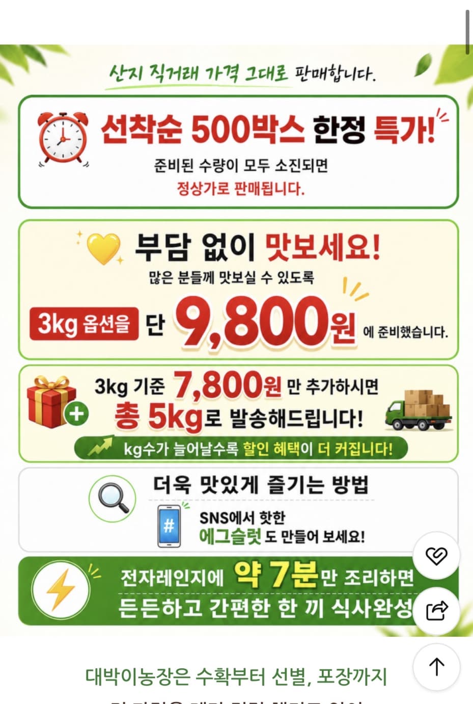 제주산 미니밤호박 3kg