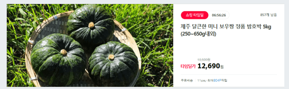 제주 미니 밤호박 5kg