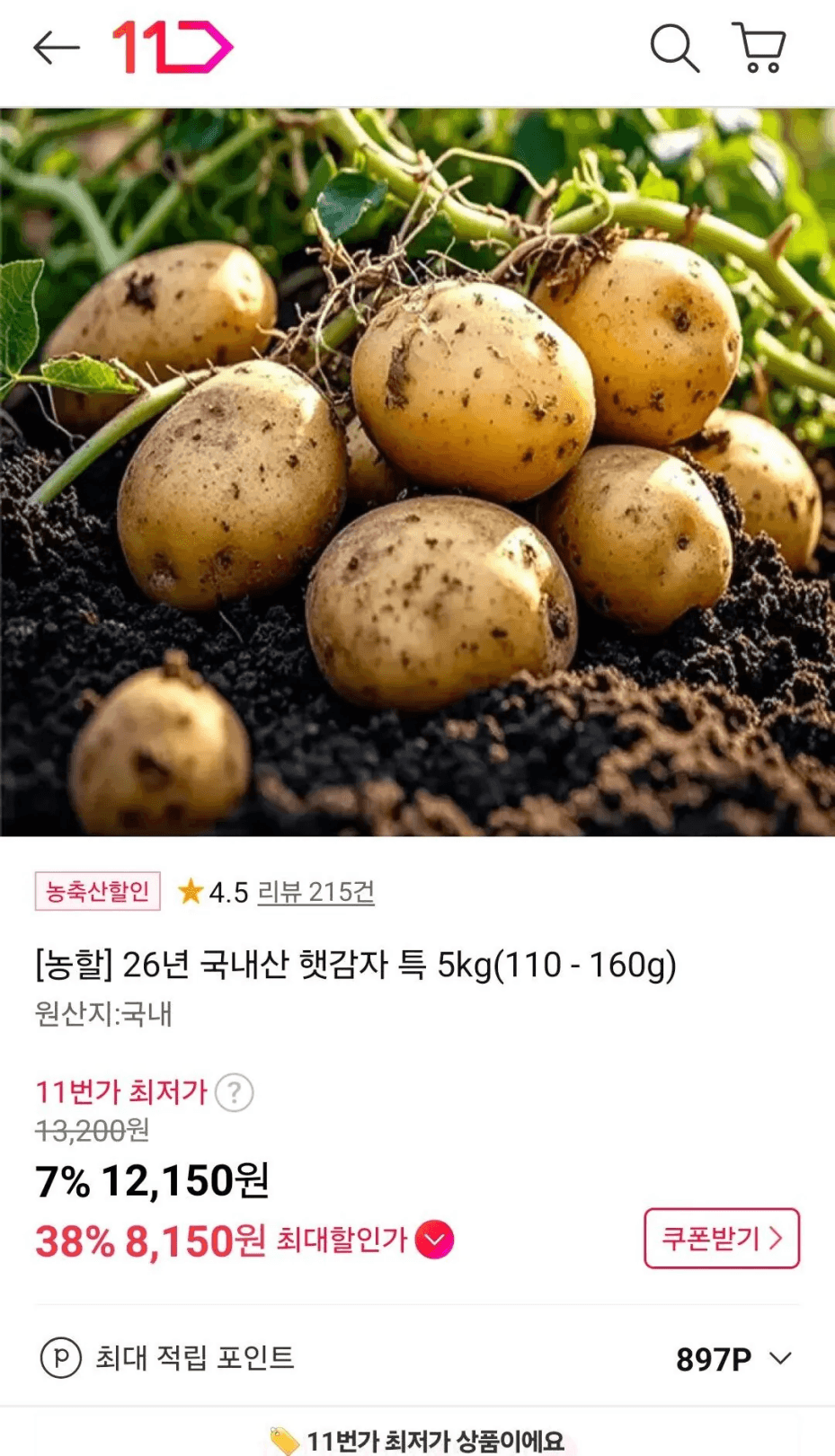 햇감자 특 5kg