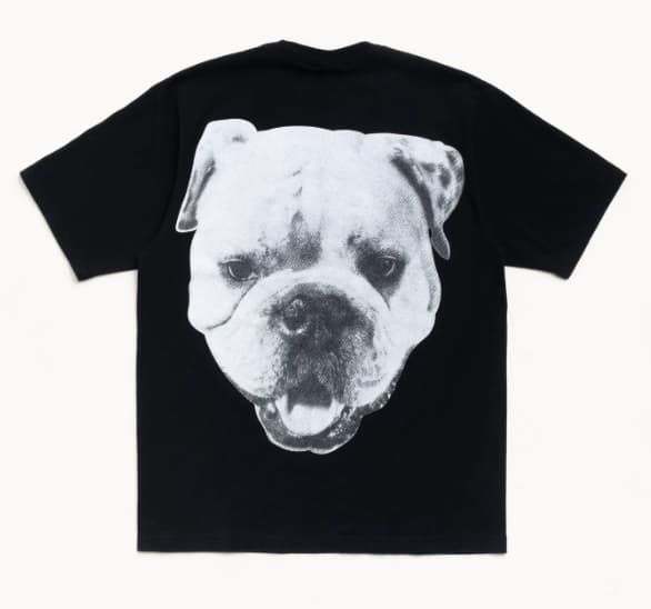Stussy 스트라이프 셔츠