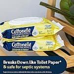 Cottonelle Summer Fresh Scented Flushable Wipes (2x42ct)