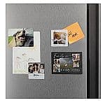 Shutterfly 4" x 5.5" 포토 자석