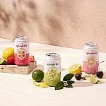 20 Count 12 fl oz Spindrift Lemonade 3 Flavor Variety
