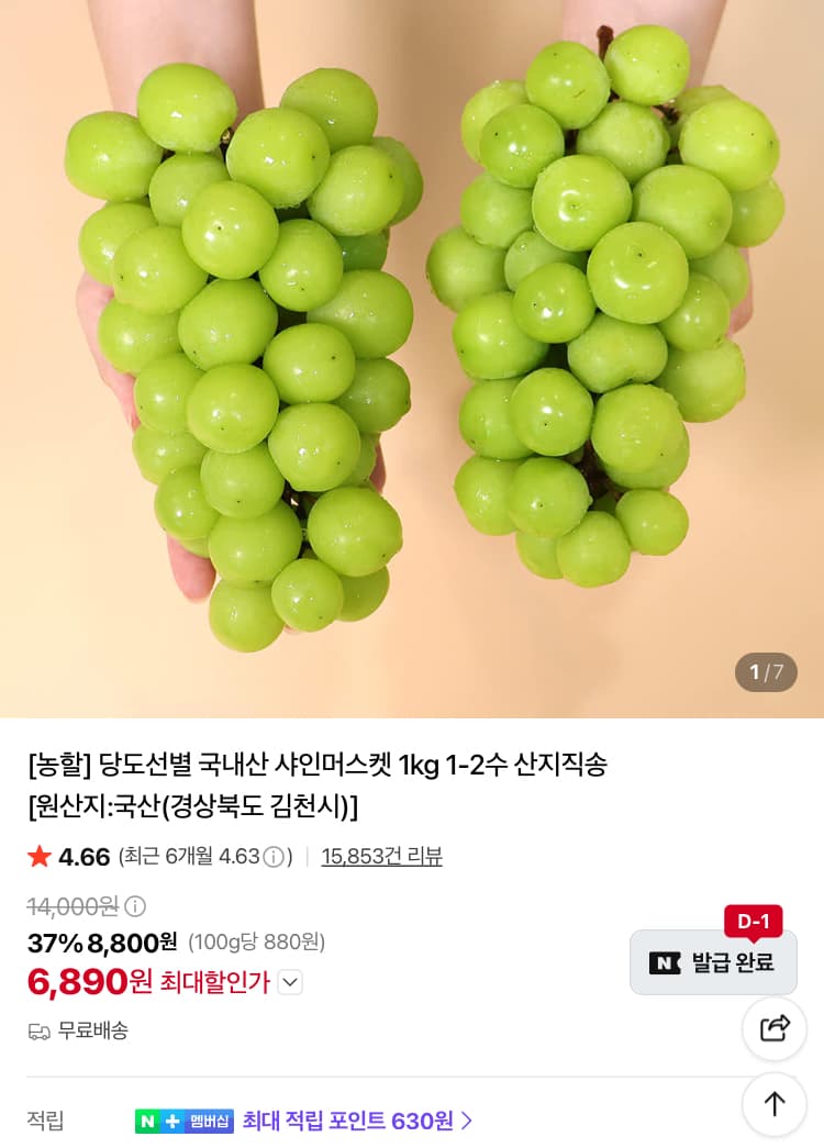 샤인머스켓 1kg