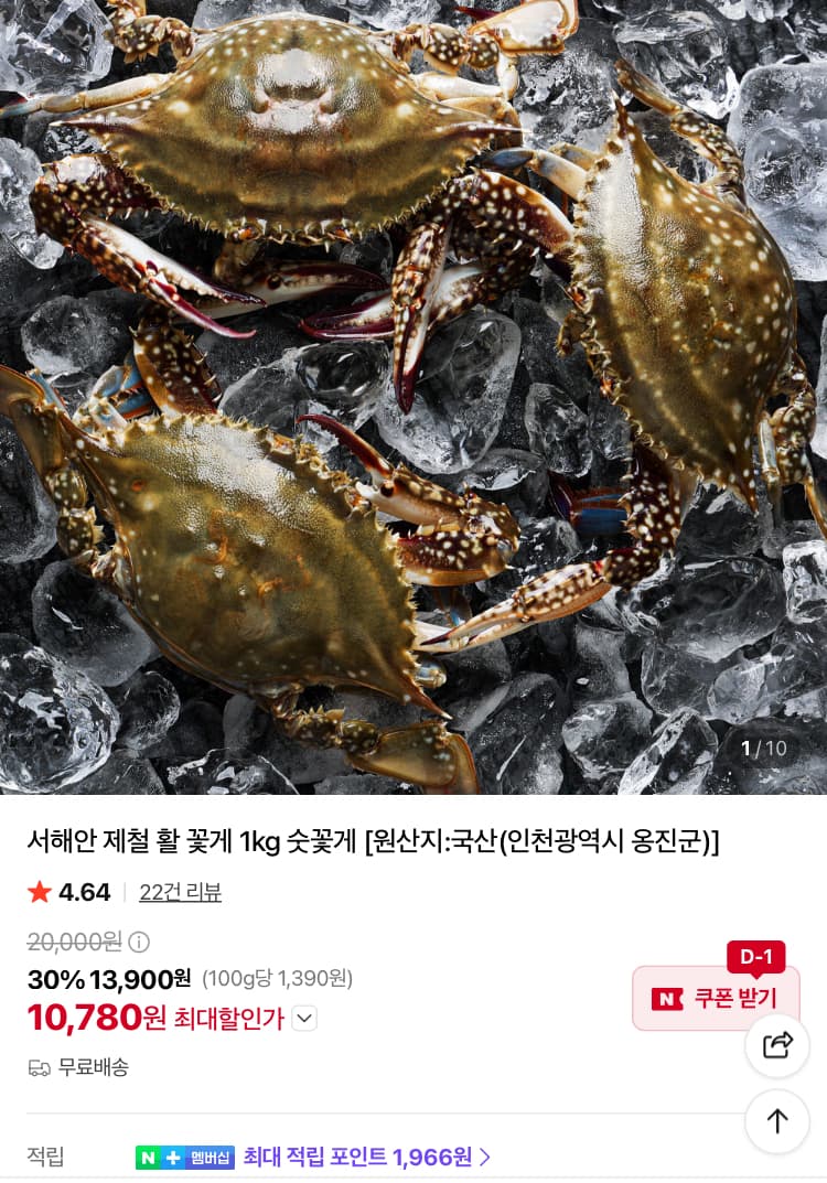 서해안 활 꽃게 1kg