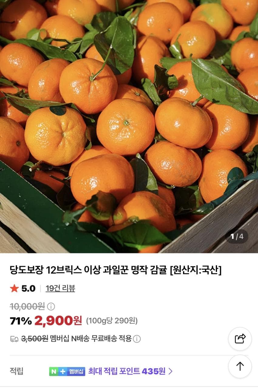 고당도 감귤 1kg