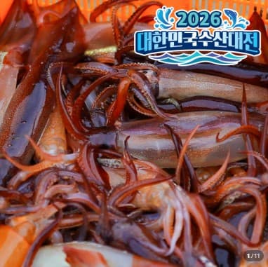 국내산 생물 오징어 통찜용 1kg