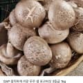 무주 생표고버섯 1kg/2kg