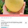 국내산 햇배 4kg