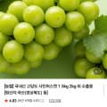 16Brix 샤인머스켓 1.5kg