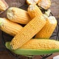 제철의맛 초당옥수수 특품
