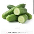 백다다기오이 3kg