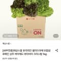 유러피안 샐러드 1kg