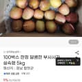 일반 부사사과 5kg