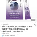 블루베리 퓨레 20g 14포