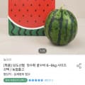 농협 고당도 수박 6kg