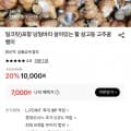 [롯데온]포항 당일바리 살아있는 활 살고동 고추골뱅이(7,000원/무료)