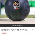 고당도 국내산 흑수박 6kg