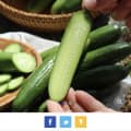 스낵오이 1kg