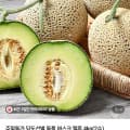 머스크메론 4kg 2수