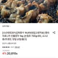 풍천 자포니카 민물장어 1kg