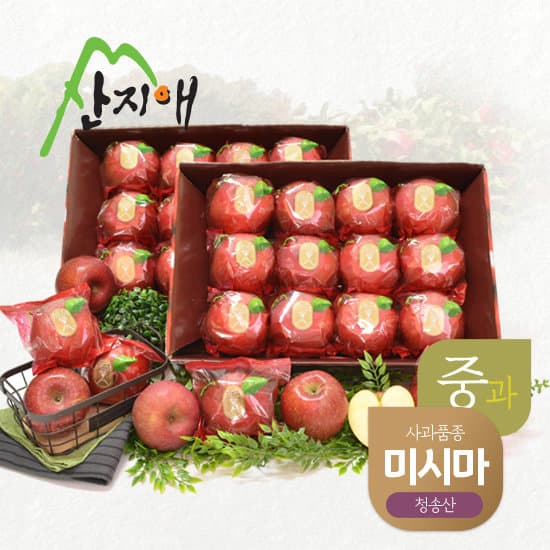 산지애 사과 5.4kg