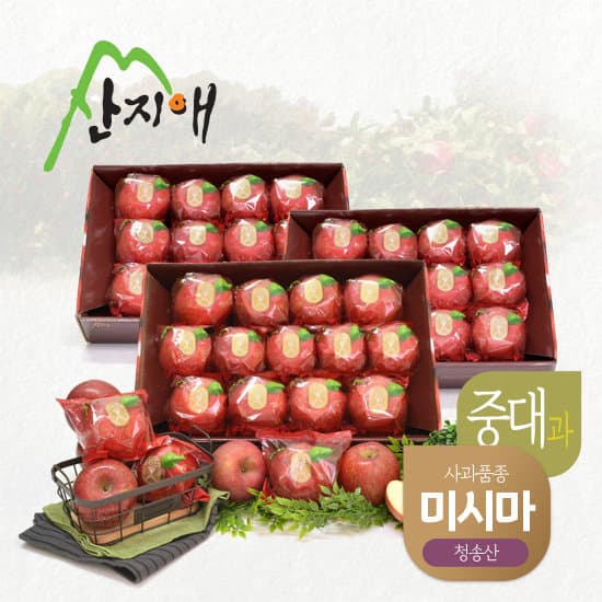 산지애 청송 꿀사과 미시마 9kg