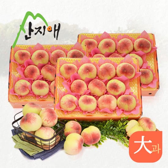 햇복숭아 9kg