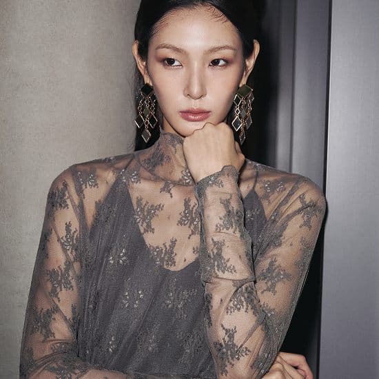 르네크루 레이스 시어 풀오버
