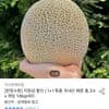 농협 고당도 머스크메론 1.6kg 2수