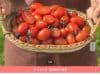 대추방울토마토 2kg 4~5번과