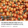 방울토마토 2kg