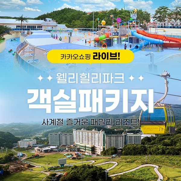 웰리힐리파크 객실 패키지