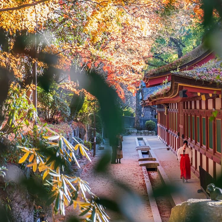 에어로케이 청주-후쿠오카 왕복