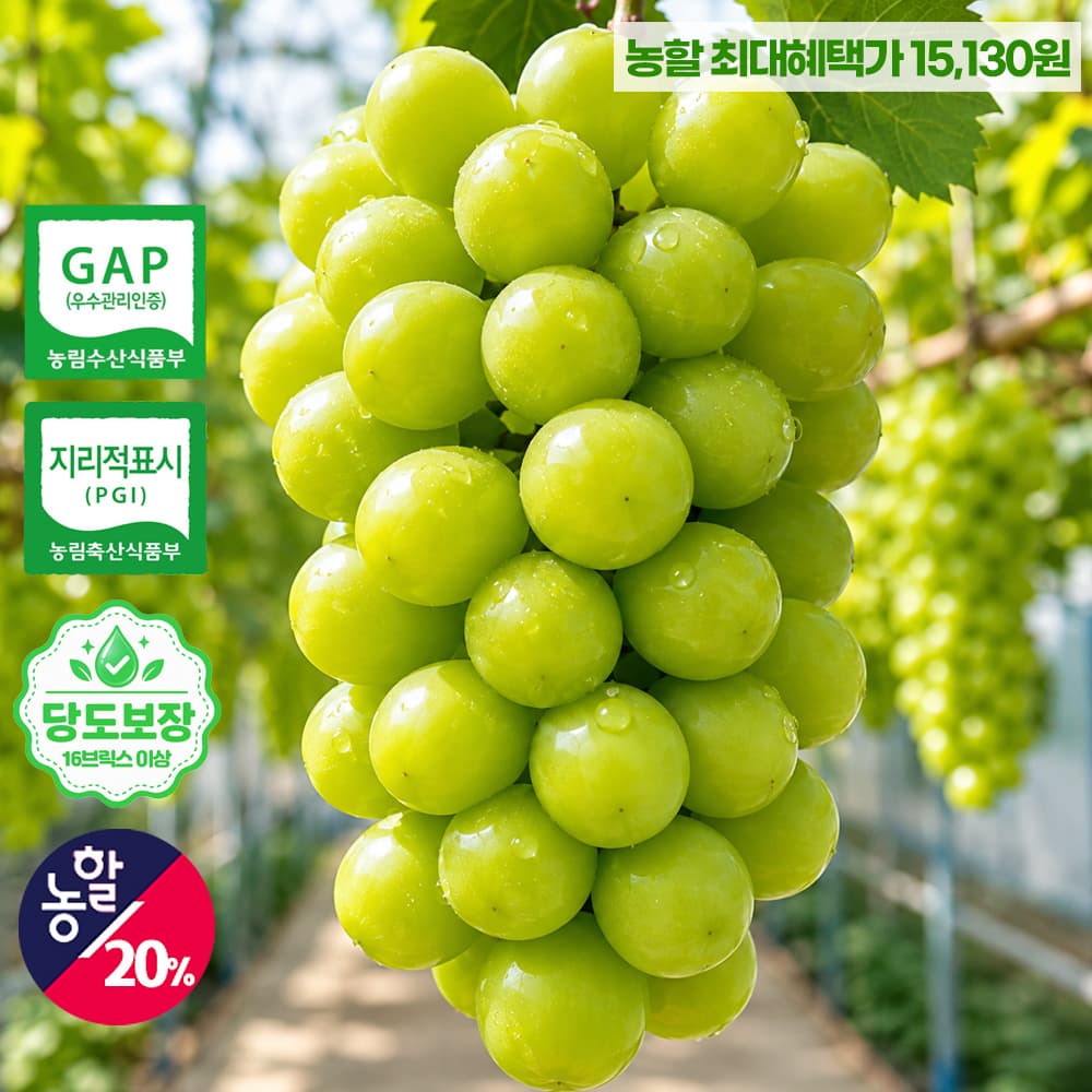 농할 GAP 김천 샤인머스켓 2kg