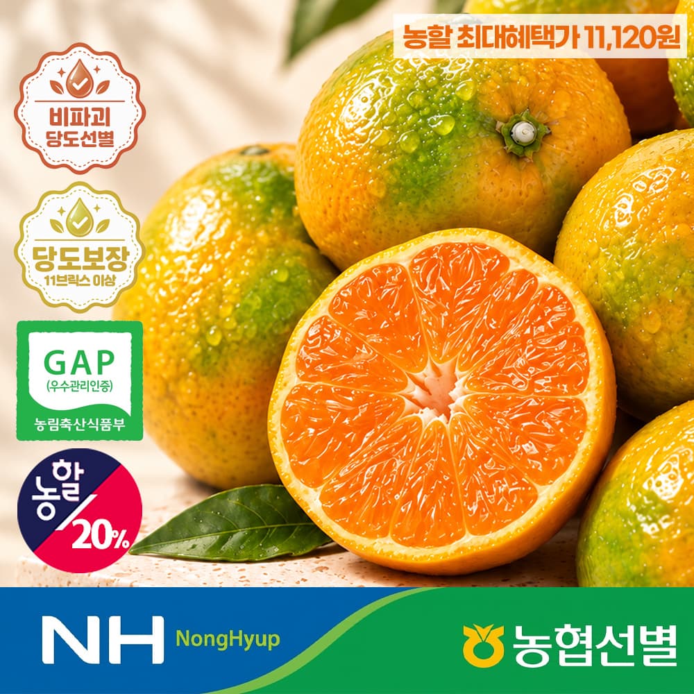제주 하우스 감귤 2kg 소과