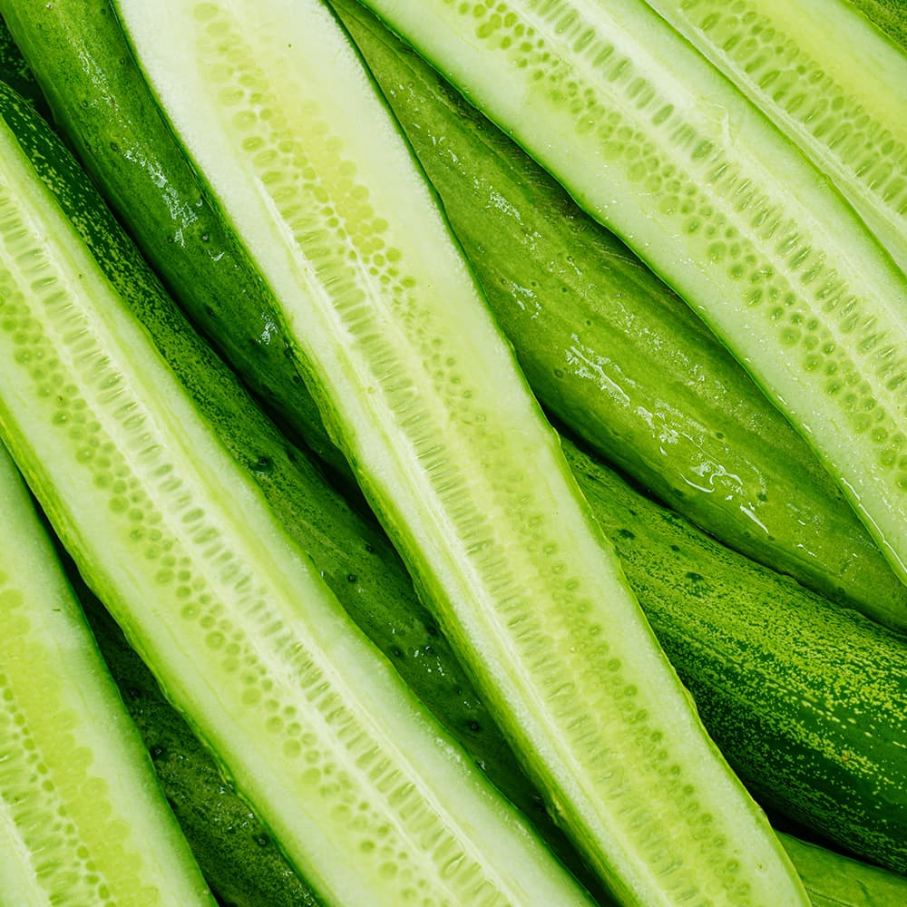 백다다기 오이 특품 2kg