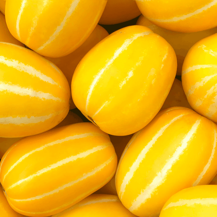 성주 꿀 참외 4.5kg