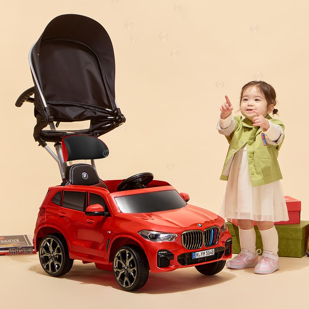 파파야나인 BMW X5 푸쉬카