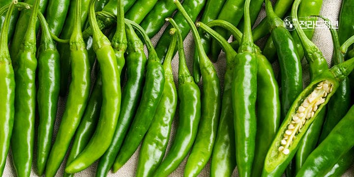 국내산 청양고추 1kg
