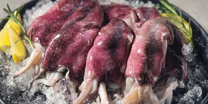 아빠식당 초코 손질 총알한치 900g