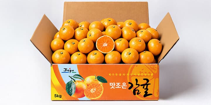 제주 감귤 4.5kg 꼬마소과