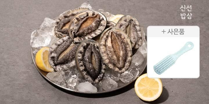 완도 활 전복 1kg 특대