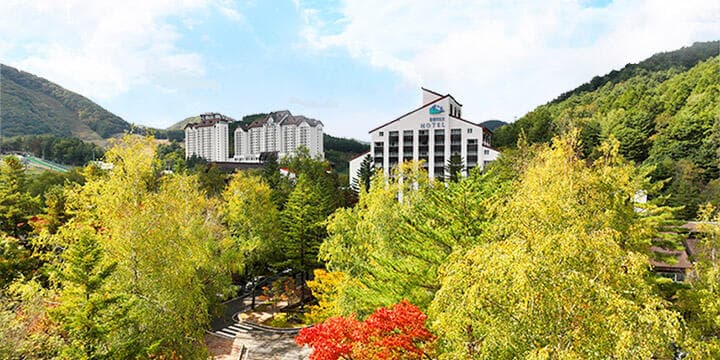 모나용평 썸머 패키지